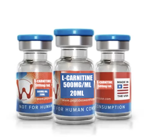 Remove term: L-Carnitine L-CarnitineRemove term: but L-Carnitine. L-Carnitine 500mg.But L-Carnitine peptideswarehouse but L-Carnitine. L-Carnitine 500mg.But L-Carnitine peptideswarehouseRemove term: L-Carnitine Peptides Warehouse L-Carnitine Peptides WarehouseRemove term: Peptides Warehouse L-Carnitine 500mg Peptides Warehouse L-Carnitine 500mg