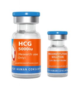 Human Chorionic Gonadotropin (HCG) 5000iu